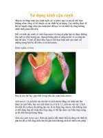 Sử dụng kính cận cảnh pot