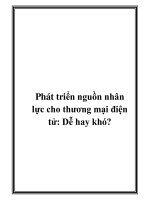 Phát triển nguồn nhân lực cho thương mại điện tử: Dễ hay khó? pdf