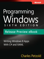 Programming Windows pptx