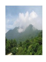 KẾT QUẢ NGHIÊN CỨU ĐỊA MẠO VÀ TRẦM TÍCH ĐỆ TỨ NHẰM XÁC ĐỊNH ĐỨT GÃY HIỆN ĐẠI TẠI TUYẾN ĐẬP THUỶ ĐIỆN PA VINH potx