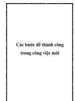 Các bước để thành công trong công việc mới pdf