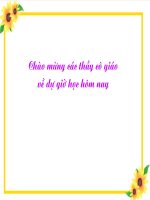 BÀI GIẢNG NGỮ VĂN LỚP 12 ĐẸP NHẤT