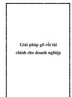Giải pháp gỡ rối tài chính cho doanh nghiệp pptx