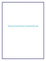 Trang web Sony Ericsson ở Canada bị tấn công ppt