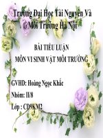 BÀI TIỂU LUẬN MÔN VI SINH VẬT MÔI TRƯỜNG ppt