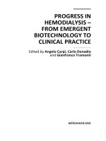 PROGRESS IN HEMODIALYSIS – FROM EMERGENT BIOTECHNOLOGY TO CLINICAL PRACTICE potx