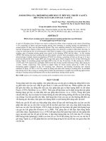 BÁO CÁO KHOA HỌC : ẢNH HƯỞNG CỦA THỜI ĐIỂM GHÉP ĐÀN VÀ TIẾP XÚC TRƯỚC CAI SỮA ĐẾN NĂNG SUẤT LỢN CON SAU CAI SỮA potx