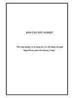 Báo cáo tốt nghiệp: “Mở rộng nghiệp vụ tín dụng cho vay tiêu dùng của ngân hàng Đầu tư phát triển Quang Trung” ppt