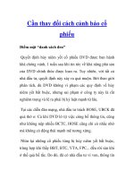 Cần thay đổi cách cảnh báo cổ phiếu pot