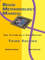 (Kluwer) reuse methodology manual for system on a chip designs (3rd ed )