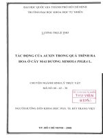 Đề Tài: Tác động của Auxin trong quá trình ra hoa ở cây Mai Dương Mimosa Pigral. pptx