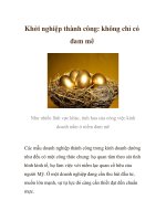 Khởi nghiệp thành công: không chỉ có đam mê docx