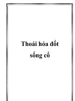 Thoái hóa đốt sống cổ pptx