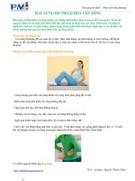 au lưng do thoái hóa cột sống pdf