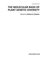 THE MOLECULAR BASIS OF PLANT GENETIC DIVERSITY pdf