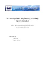 Đề tài 24 : Người ta tạo mô hình đối tượng 3D dựa theo mô hình nào? potx