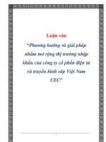 Luận văn: “Phương hướng và giải pháp nhằm mở rộng thị trường nhập khẩu ppt