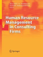 Human Resource Management in Consulting Firms pdf