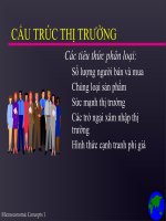 Cấu trúc thị trường pdf