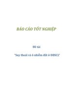 báo cáo tốt nghiệp đề tài  “suy thoái và ô nhiễm đất ở đbscl”