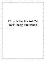 Tút ảnh hoa lá cành pot