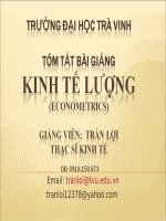Tóm tắt bài giảng kinh tế lượng - Chương 1 ppt