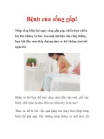 Bệnh của sống gấp! pdf