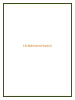 Cấu hình Internet Explorer pot