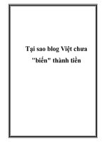 Tại sao blog Việt chưa 