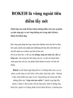 BOKEH là vùng ngoài tiêu điểm lấy nét doc