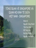 ĐỀ TÀI : TỔNG QUAN VỀ SINGAPORE VÀ QUAN HỆ KINH TẾ GIỮA VIỆT NAM - SINGAPORE pot