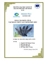 BÁO CÁO PHÂN TÍCH TẬP ĐOÀN THỦY SẢN MINH PHÚ-MPC doc