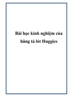 Bài học kinh nghiệm của hãng tả lót Huggies doc