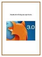 Mozilla bít 6 lỗ hổng bảo mật Firefox ppt