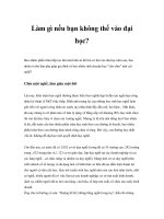 Làm gì nếu bạn không thể vào đại học? potx