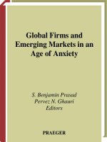 Global Firms and Emerging Markets in an Age of Anxiety pptx