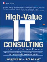 High-Value IT Consulting: 12 Keys to a Thriving Practice pot