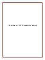 Các website dựa trên osCommerce bị tấn công doc