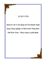 LUẬN VĂN: Quản lý rủi ro tín dụng tại Chi nhánh Ngân hàng Nông nghiệp và Phát triển Nông thôn tỉnh Kon Tum - Thực trạng và giải pháp docx