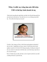 Wiley Cerilli: tay trắng làm nên 100 triệu USD và bài học kinh doanh từ mẹ docx
