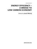 ENERGY EFFICIENCY – A BRIDGE TO LOW CARBON ECONOMY docx