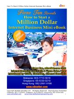 How To Start A Million Dollar Internet Business Mini eBook pdf