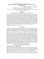 BÁO CÁO KHOA HỌC 