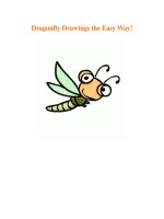 Dragonfly Drawings the Easy Way! pdf