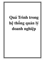 Quá Trình trong hệ thống quản lý doanh nghiệp docx