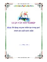 đề tài '''' sử dụng enzyme nhân tạo trong quá trình sản xuất nước mắm ''''