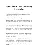 Người Cần mẫn, Chăm chỉ thích ứng tốt với nghề gì? pps