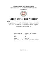 THỰC TRẠNG VÀ GIẢI PHÁP PHÁT TRIỂN SẢN XUẤT CÂY CAO SU TRÊN ĐỊA BÀN XÃ TÂY HIẾU THỊ XÃ  THÁI HÒA TỈNH NGHỆ AN