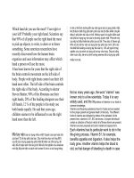 luận văn 11 có dịch