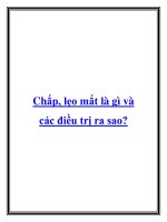Chắp lẹo mắt là gì và các điều trị ra sao pdf